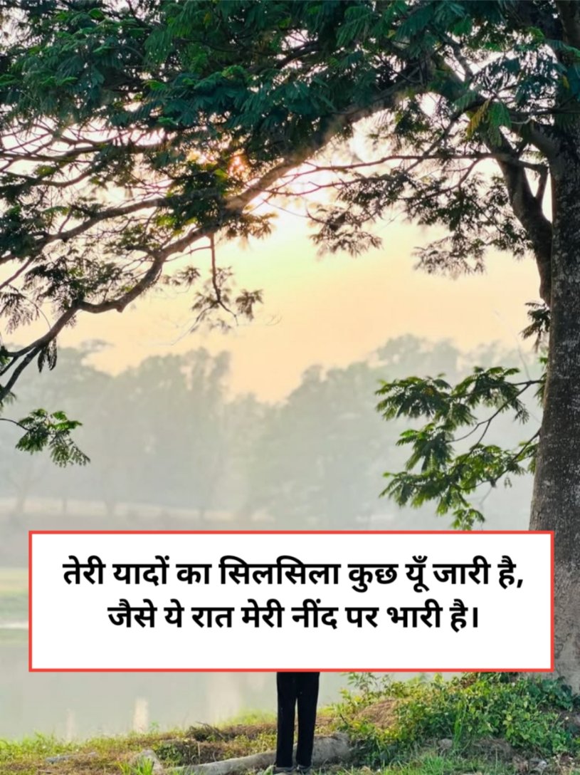 Heart Touching Miss You Shayari